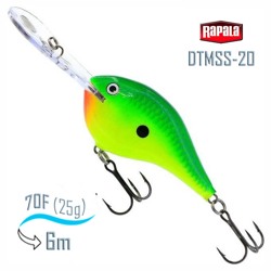 DTMSS20 CTL - фото