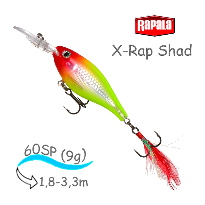 XRS06 CLN X-Rap Shad - фото