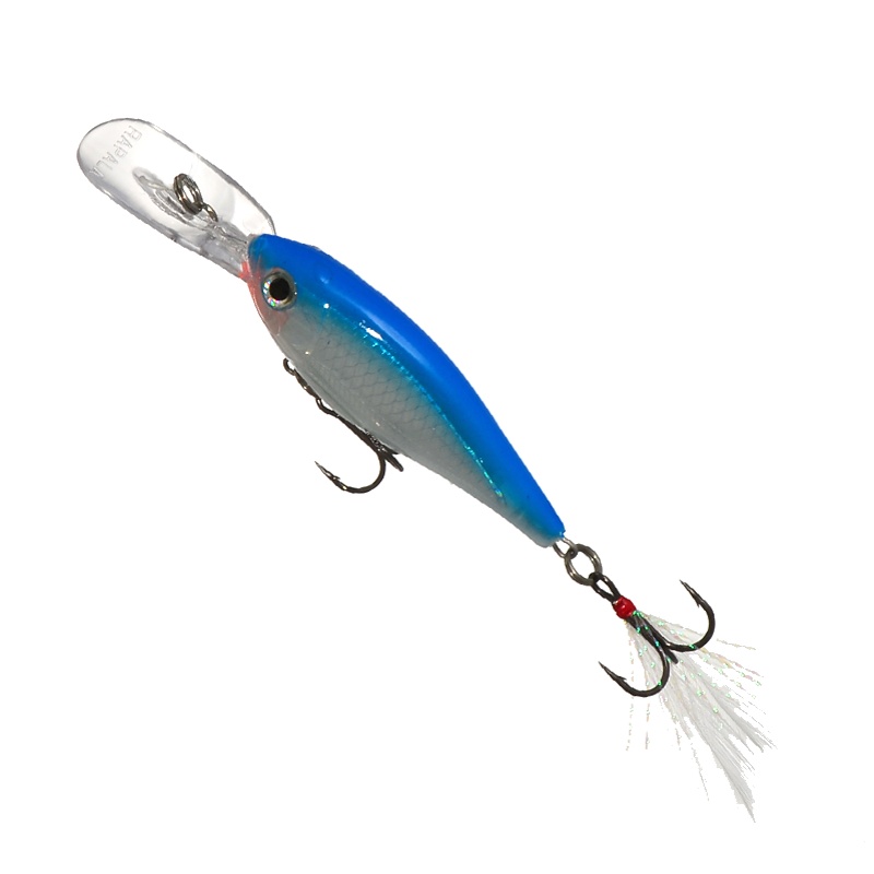 XRS06 SB X-Rap Shad