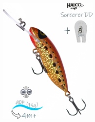 Sorcerer  90 DD H70 - фото