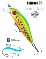 Crack Jack 78 SP-MR-R65 - фото
