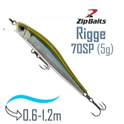 Rigge 70 SP-021R - фото