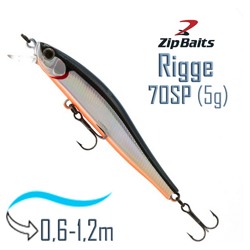 Rigge 70 SP-811M - фото