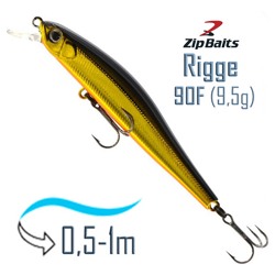Rigge 90 F-050 - фото