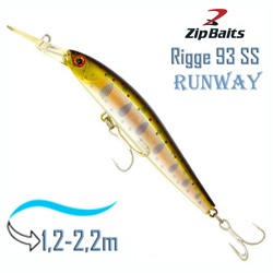 Rigge 93 SS-851 Runway - фото