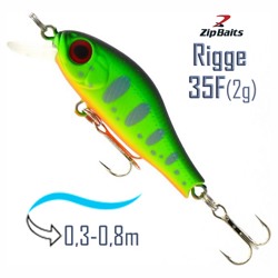 Rigge 35 F-ZR10R - фото