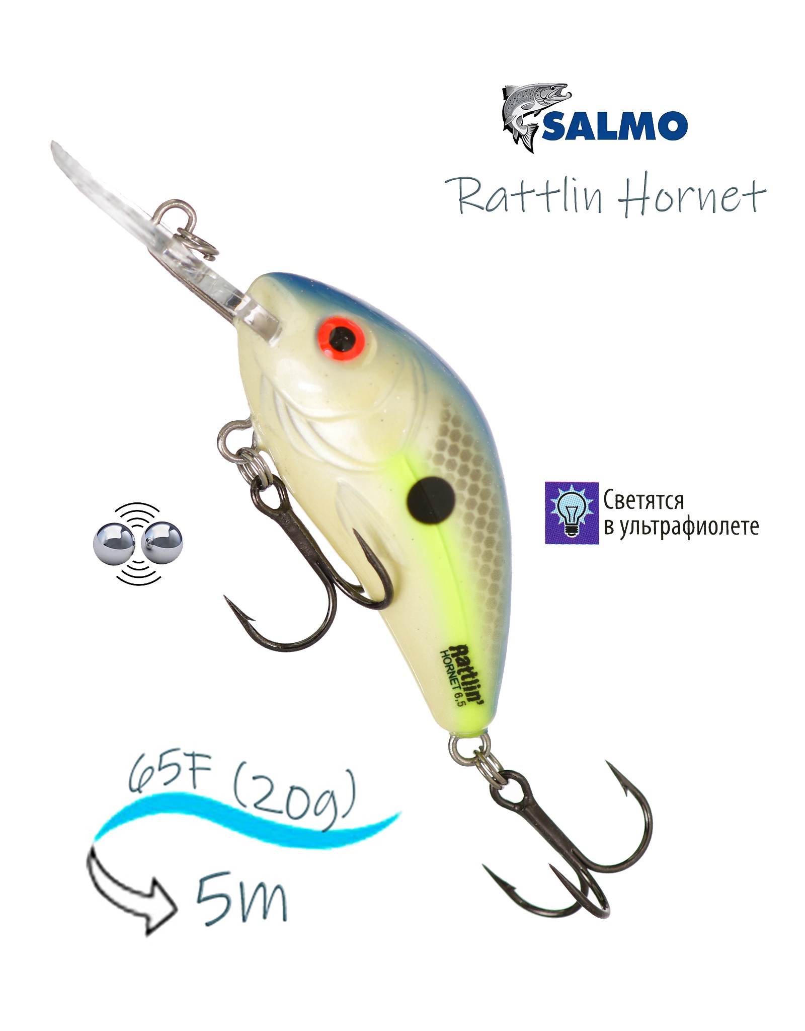 QRH024 Rattlin Hornet RH-065FL-SXS - фото