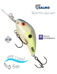 QRH024 Rattlin Hornet RH-065FL-SXS - фото